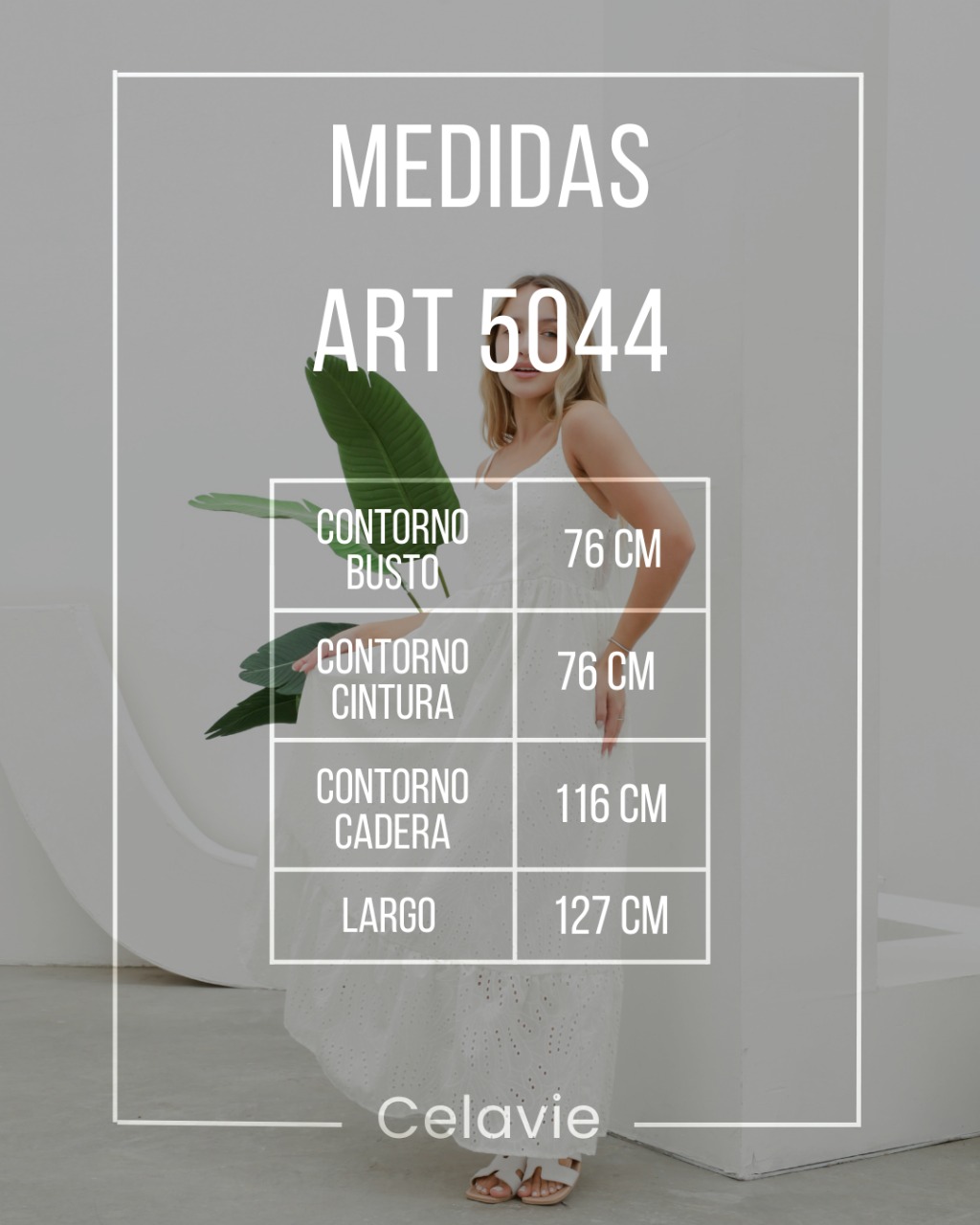 Imagen de WhatsApp 2025-10-22 a las 11.43.38_466cbb33