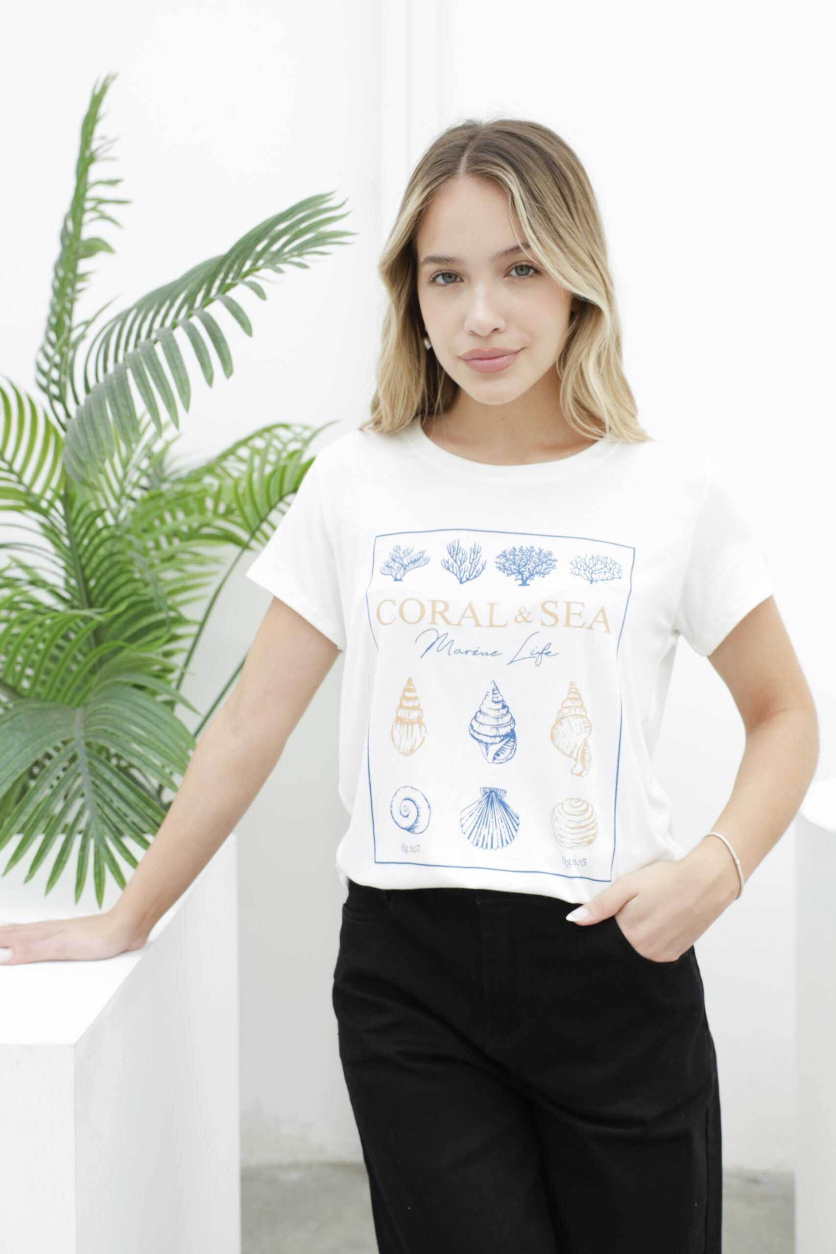 _MG_9632 - 복사본 Remera CORAL SEA – Modal Mayorista PV 2026 - Ropa Mayorista CELAVIE
